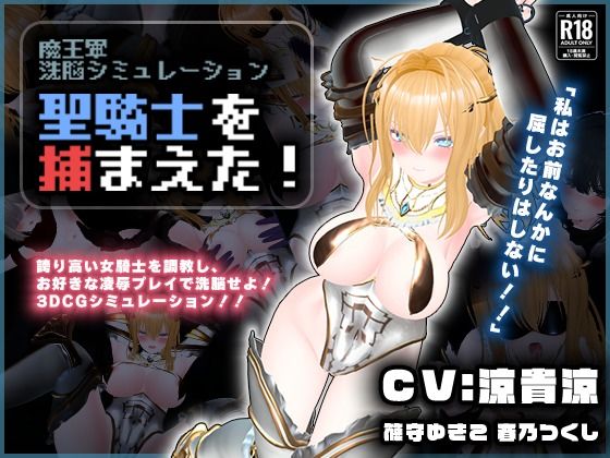3DCG【【CV:涼貴涼、篠守ゆきこ、春乃つくし】聖騎士を捕まえた！【魔王軍洗脳シミュレーション】】評価1.00 こうねつひ