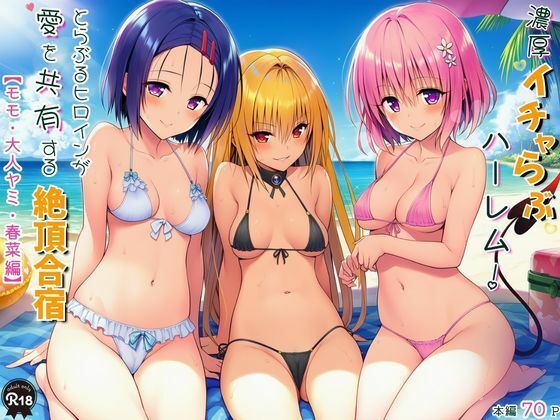 水着【濃厚イチャらぶハーレム！とらぶるヒロインが愛を共有する絶頂合宿【モモ・大人ヤミ・春菜編】】評価 Velvet House