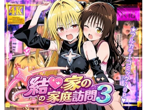 処女【結●家の家庭訪問3】評価 ガーネット