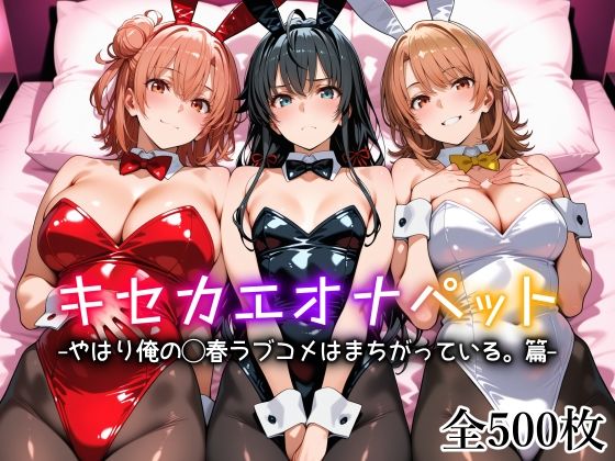 制服【キセカエオナペット -やはり俺の◯春ラブコメはまちがっている篇-】評価 愛玩ファクトリー