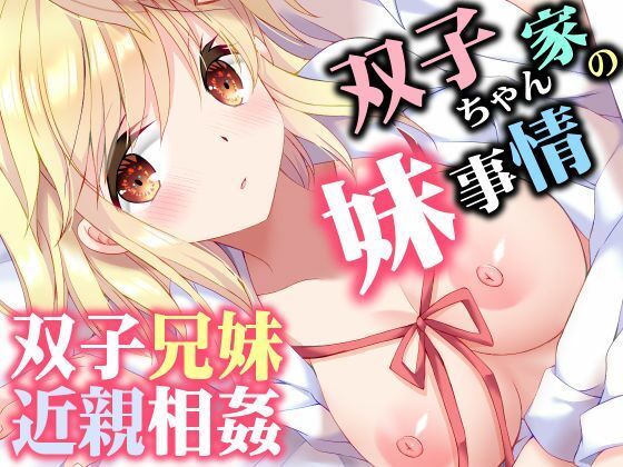 巨乳【双子ちゃん家の妹事情】評価5.00 ARC