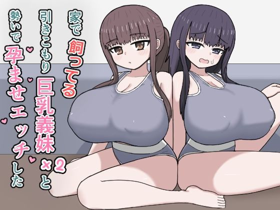 デモ・体験版あり【家で飼ってる引きこもり巨乳義妹×2と勢いで孕ませエッチした】評価 にしかわ屋