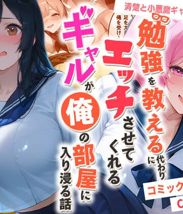 制服【勉強を教える代わりにエッチをさせてくれるギャルが俺の部屋に入り浸る話 〜清楚と小悪魔ギャルの純愛編〜】評価 夜の快楽